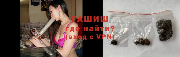 сатива Белокуриха