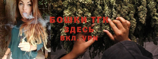 сатива Белокуриха