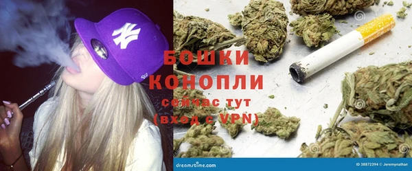 сатива Белокуриха