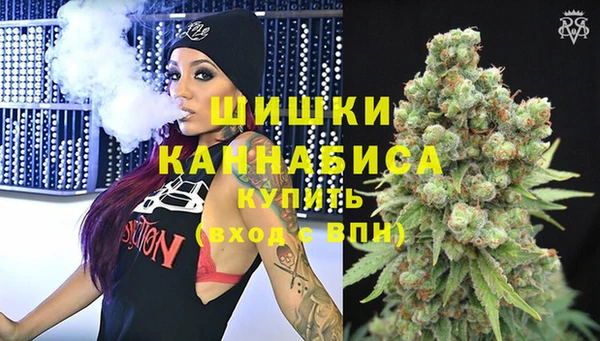 сатива Белокуриха