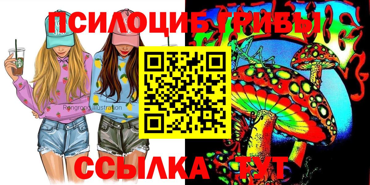 Наро-Фоминск  Псилоцибиновые грибы мухоморы  Вход с VPN  Псилоцибиновые грибы Psilocybe 